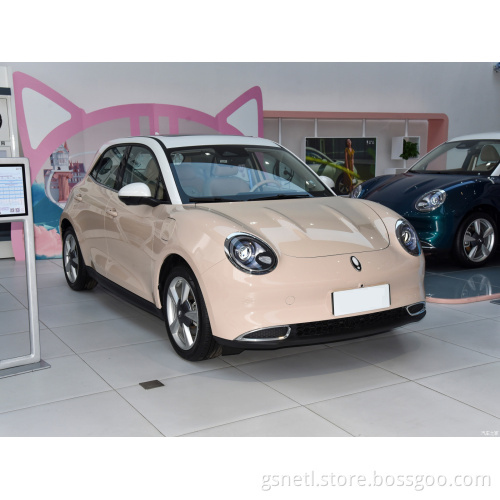 Best Price Ora Good Cat EV Smart Car Electric Cars Small EV Cars Made In China Electric